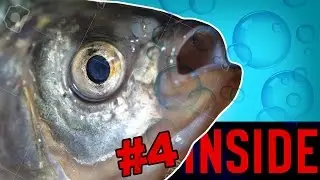 IM THE KING OF THE SEA! - (Inside - Part 4)