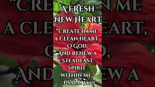 🙏  A Fresh New Heart