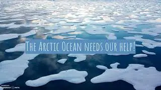 Protect the Arctic from risky drilling!