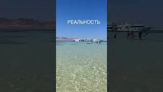Ожидание-Реальность. Египетские Мальдивы. Шарм-эль-Шейх
