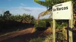 Coffee Project in Brazil by Starkmacher - Umami Area - Fazenda da esperanza con Andrej Godina