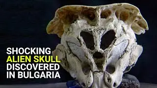Alien skull discovered in Bulgaria
