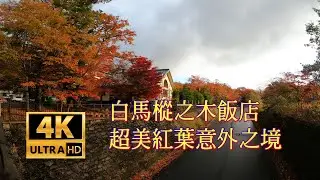 日本北陸 2019之旅 -- 白馬樅之木飯店 Hakuba  Mominoki  Hotel  超美楓葉紅葉意外之境  4k