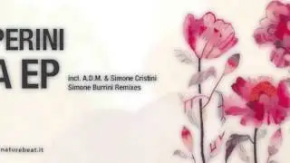 Andrea Perini - Realtime (Original)  [Nature Beat Records]