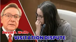 Судья Дэвид Вулф рассматривает представленные доказательства, споры о порядке встреч с детьми и о...
