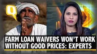 Farm Loan Waivers Won&rsquo;t Work Without Proper Prices, Say Experts  | The Quint