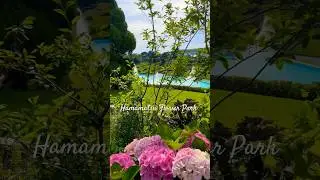 Hamamatsu Flower Park | Travel Japan  #hamamatsu  #shizuoka #flowers #diytravel  #cinematic #travel