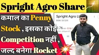 spright agro share latest news | spright agro latest news | q2 result | Analysis