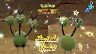 ✨Pok&eacute;mon Violet: SHINY DODRIO & DODUO VIA MASS OUTBREAK!✨