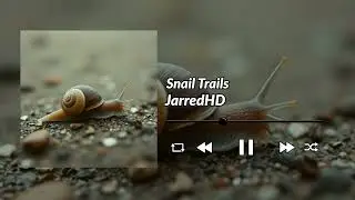 Snail Trails - (Official Audio)