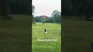 Landing In My Backyard!!