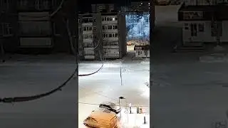 Росомаха в Полярных Зарях