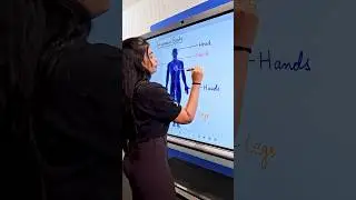 Teachmint X Digital Board with Palm Eraser Feature for Effortless Corrections.