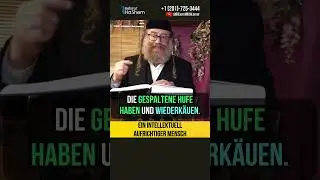 Wie viele Torah-Beweise brauchst du noch ⁉️ Ein Mensch mit intellektueller Aufrichtigkeit #shorts
