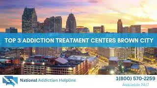 Top 3 Addiction Treatment Centers Brown City
