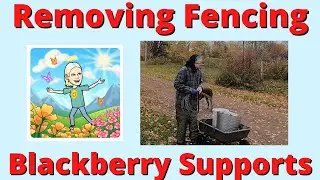 Removing Blackberry support wire