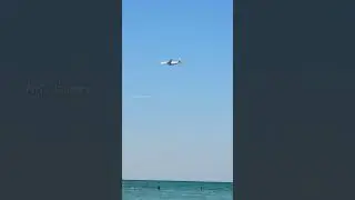 Al wakrah park beach Qatar#dog beach#beautiful view#shorts