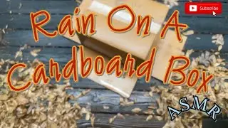 ASMR Rain ☔️ On a Cardboard Box 📦