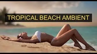 Tropical Beach Ambient Royalty Free Music / Premium Stock Music / Summer Music