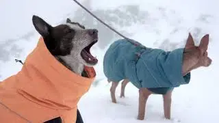 Expedition Parka