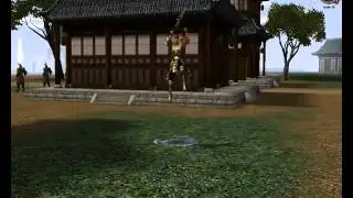 Metin2 Mental Krieger P Skills