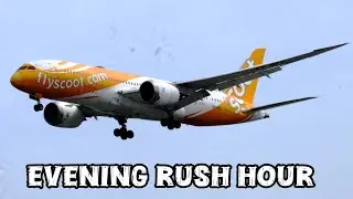 EVENING RUSH HOUR! Changi Airport Arrivals (Air China, Singapore airlines and More!)