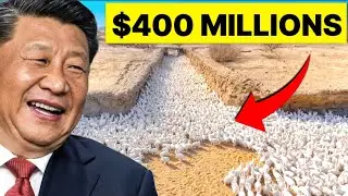 China Released 4,000,000 of RABBITS into a Kubuqi Desert (Shock the World)