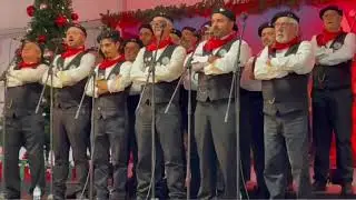CANTE NOVO - Gotinha de Água - Natal Palmela 20/12/2025