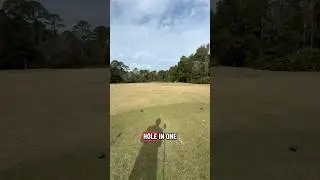Ace! #foryou #golf #holeinone