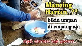 Mancing Harian atau Lomba ????? | Bikin Umpan Di Empang Aja..