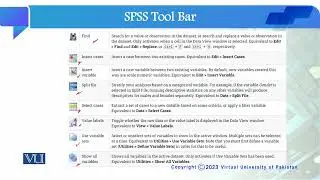 SPSS Tool Bar | Quantitative Research Methodology | SOC509_Topic156