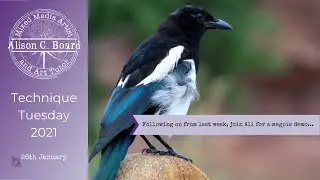 Technique Tuesday: 26th January 2021 - Magpie