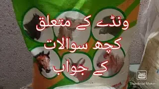 Bakriyon ki khurak | Wanda for Goats | Goat diet for weight Gain