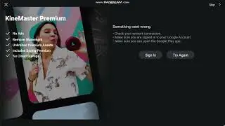 Kinemaster Error Code (English)