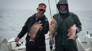 Reel Time Florida Sportsman &mdash; Мексиканский залив, свинья и групер &mdash; Сезон 3, Эпизод 8 &mdash; RTFS