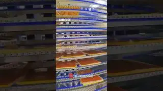 Mousse Cake Production Line- Fully Automatic Cake Baking Oven With Cooling Tower #mousse