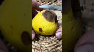 Fruit 🍇 ASMR peeling sounds #asmr #fruit #asmrfruit #satisfying #fruitasmr #food #fly