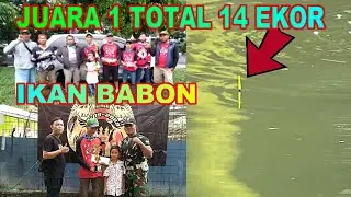 LOMBA MANCING IKAN MAS LJ FISHING JUARA 1 IKAN BABON 14 EKOR