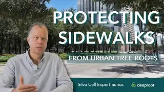 Protecting Sidewalks from Urban Tree Roots with DeepRoot Products