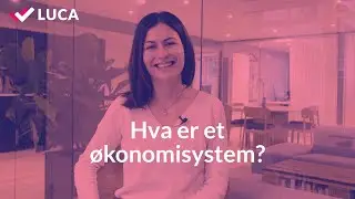 Hva er et &oslash;konomisystem?