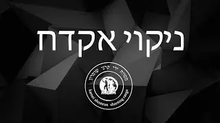 ניקוי אקדח