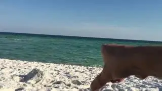 Galaxy S7: Water Test in Ocean- Minor Problems