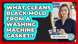 What Cleans Black Mold From A Washing Machine Gasket? - Home Appliance Report