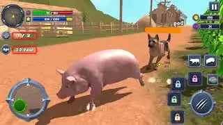 Angry Boar Pig Simulator Game - Pig Simulator Game - Animal Simulator Gameplay