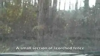 New Year Fire on Abaco Wild Horse Preserve