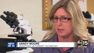 Valley store selling hemp-based products to humans and pets