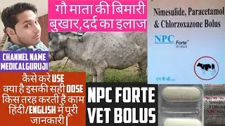 npc forte bolus uses in hindi | npc forte | npc forte tablet uses in hindi | nimesulide | pcm |