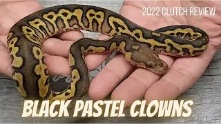 Black Pastel Clown Clutch