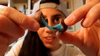 DECEPCIONADA DE LOS DULCES QUE ME TRAJERON DESDE CHILE 😭