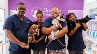 Welcome to Eli Waters Animal Clinic/ Relocate to Australia 🇦🇺/ Immigrants Dream
